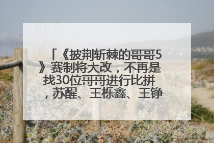 《披荆斩棘的哥哥5》赛制将大改，不再是找30位哥哥进行比拼，苏醒、王栎鑫、王铮亮、张远等多名男团选手被曝将参加