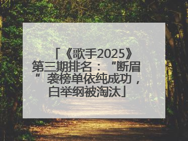 《歌手2025》第三期排名：“断眉”袭榜单依纯成功，白举纲被淘汰