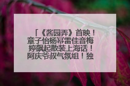 《酱园弄》首映！章子怡杨幂雷佳音梅婷飙起散装上海话！阿庆爷叔气氛组！独独没见他……