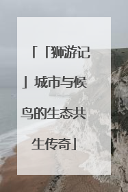 「狮游记」城市与候鸟的生态共生传奇