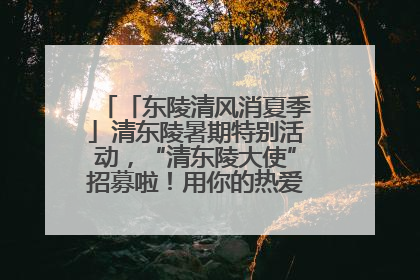 「东陵清风消夏季」清东陵暑期特别活动，“清东陵大使”招募啦！用你的热爱守护世界遗产！