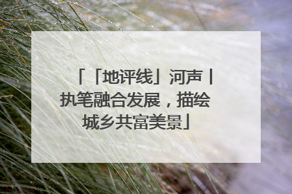「地评线」河声丨执笔融合发展，描绘城乡共富美景