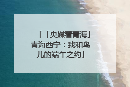 「央媒看青海」青海西宁：我和鸟儿的端午之约