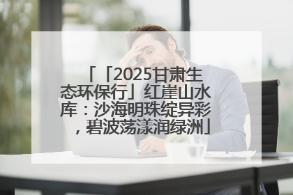 「2025甘肃生态环保行」红崖山水库：沙海明珠绽异彩，碧波荡漾润绿洲