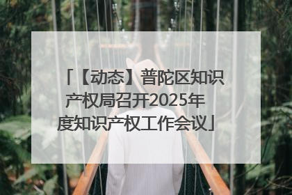 【动态】普陀区知识产权局召开2025年度知识产权工作会议