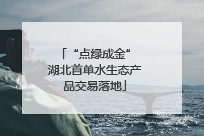 “点绿成金” 湖北首单水生态产品交易落地