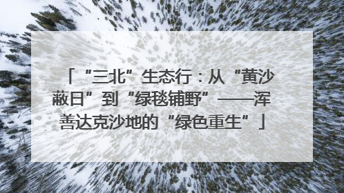 “三北”生态行：从“黄沙蔽日”到“绿毯铺野”——浑善达克沙地的“绿色重生”