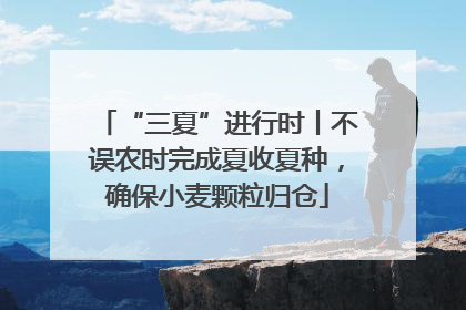 “三夏”进行时丨不误农时完成夏收夏种，确保小麦颗粒归仓