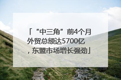 “中三角”前4个月外贸总额达5700亿，东盟市场增长强劲