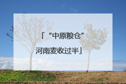 “中原粮仓”河南麦收过半