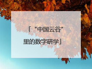 “中国云谷”里的数字研学