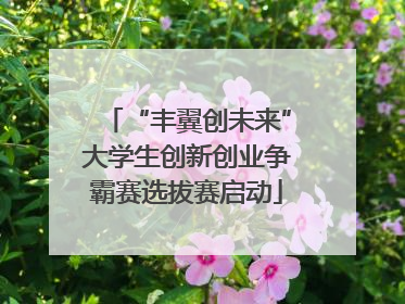 “丰翼创未来”大学生创新创业争霸赛选拔赛启动