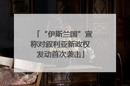 “伊斯兰国”宣称对叙利亚新政权发动首次袭击