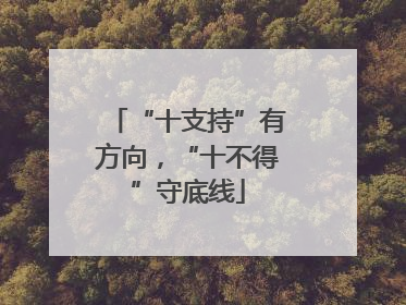 “十支持”有方向，“十不得”守底线