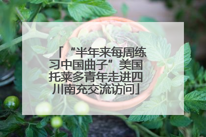 “半年来每周练习中国曲子”美国托莱多青年走进四川南充交流访问
