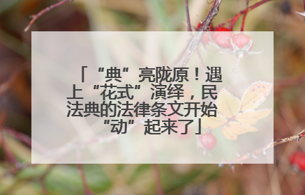“典”亮陇原！遇上“花式”演绎，民法典的法律条文开始“动”起来了