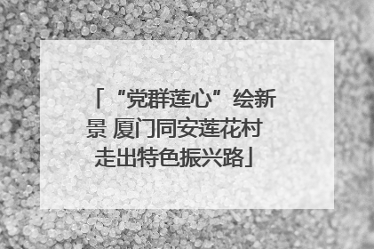 “党群莲心”绘新景 厦门同安莲花村走出特色振兴路