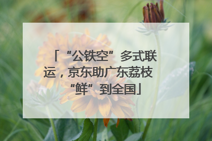 “公铁空”多式联运，京东助广东荔枝“鲜”到全国