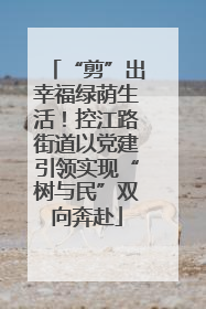 “剪”出幸福绿荫生活！控江路街道以党建引领实现“树与民”双向奔赴