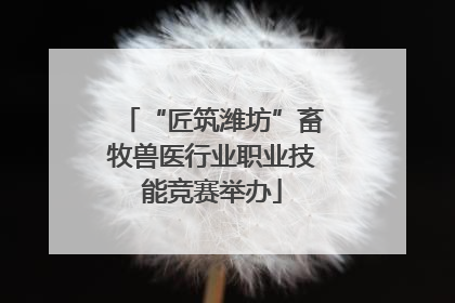 “匠筑潍坊”畜牧兽医行业职业技能竞赛举办