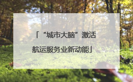 “城市大脑”激活航运服务业新动能