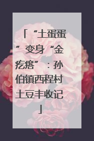 “土蛋蛋”变身“金疙瘩”：孙伯镇西程村土豆丰收记