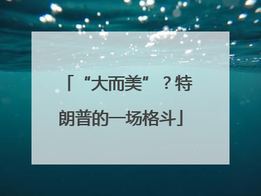“大而美”？特朗普的一场格斗