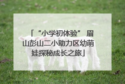“小学初体验” 眉山彭山二小助力区幼萌娃探秘成长之旅