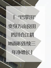 “巴掌田”变身万亩良田 四川合江耕地面积连续三年净增长
