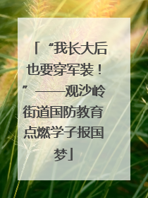 “我长大后也要穿军装！”——观沙岭街道国防教育点燃学子报国梦