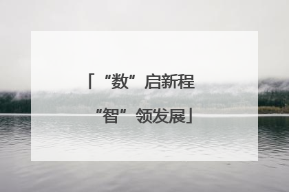 “数”启新程 “智”领发展