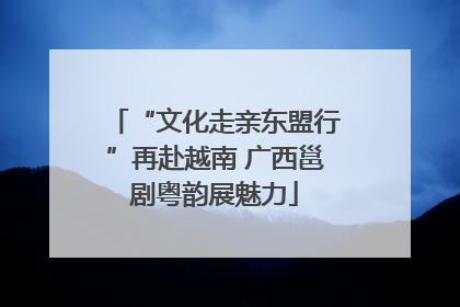 “文化走亲东盟行”再赴越南 广西邕剧粤韵展魅力