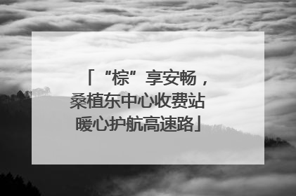 “棕”享安畅，桑植东中心收费站暖心护航高速路
