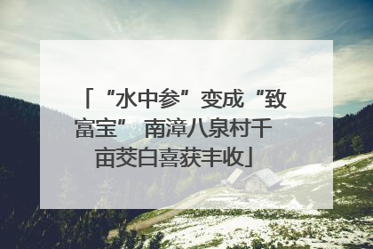 “水中参”变成“致富宝” 南漳八泉村千亩茭白喜获丰收
