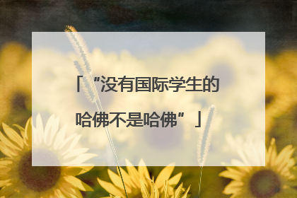 “没有国际学生的哈佛不是哈佛”