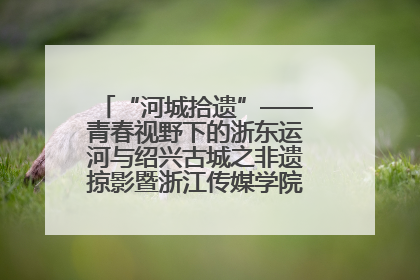 “河城拾遗”——青春视野下的浙东运河与绍兴古城之非遗掠影暨浙江传媒学院小学期来绍