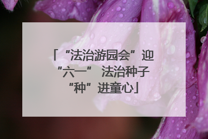 “法治游园会”迎“六一” 法治种子“种”进童心