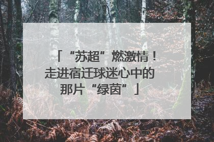 “苏超”燃激情！走进宿迁球迷心中的那片“绿茵”