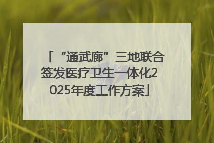 “通武廊”三地联合签发医疗卫生一体化2025年度工作方案