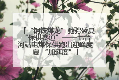 “钢铁煤龙”驰骋盛夏 “保供赛道”——七台河站电煤保供跑出迎峰度夏 “加速度”