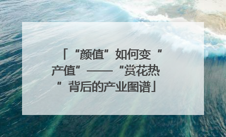 “颜值”如何变“产值”——“赏花热”背后的产业图谱