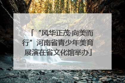 “风华正茂·向美而行”河南省青少年美育展演在省文化馆举办