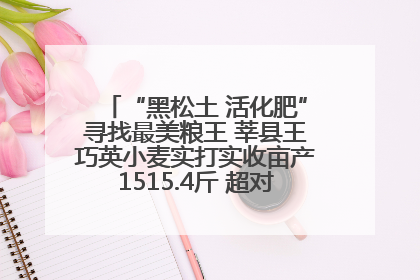 “黑松土 活化肥”寻找最美粮王 莘县王巧英小麦实打实收亩产1515.4斤 超对照田144斤！