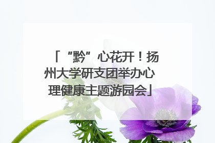 “黔”心花开！扬州大学研支团举办心理健康主题游园会