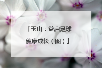 玉山：益启足球 健康成长（图）