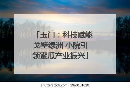玉门：科技赋能戈壁绿洲 小院引领蜜瓜产业振兴