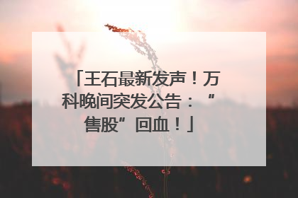 王石最新发声！万科晚间突发公告：“售股”回血！