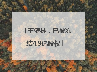 王健林，已被冻结4.9亿股权
