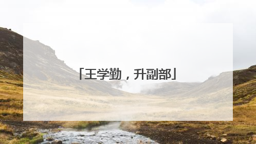 王学勤，升副部