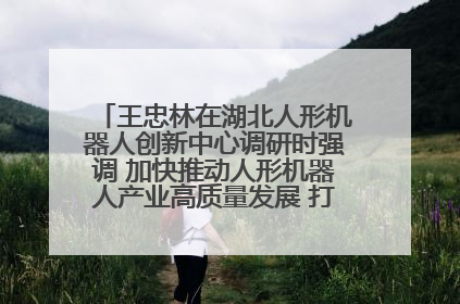 王忠林在湖北人形机器人创新中心调研时强调 加快推动人形机器人产业高质量发展 打造具有全国影响力的研发创新基地